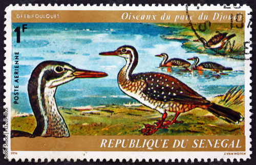 Postage stamp Senegal 1974 African Finfoot, Aquatic Bird photo