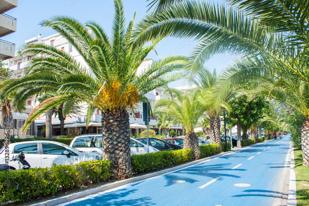Bicycle track on the adriatic sea coast. Seashore of city Alba Adriatica in Italy, Palm treas on the sides, summer sunny day. Bicycle track on the adriatic sea coast. Seashore of city Alba Adriatica in Italy, Palm treas on the sides, summer sunny day.