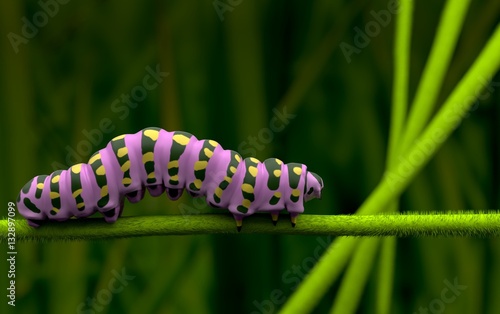 Pink caterpillar  lover and alone 3Drendering  © TeacherX555