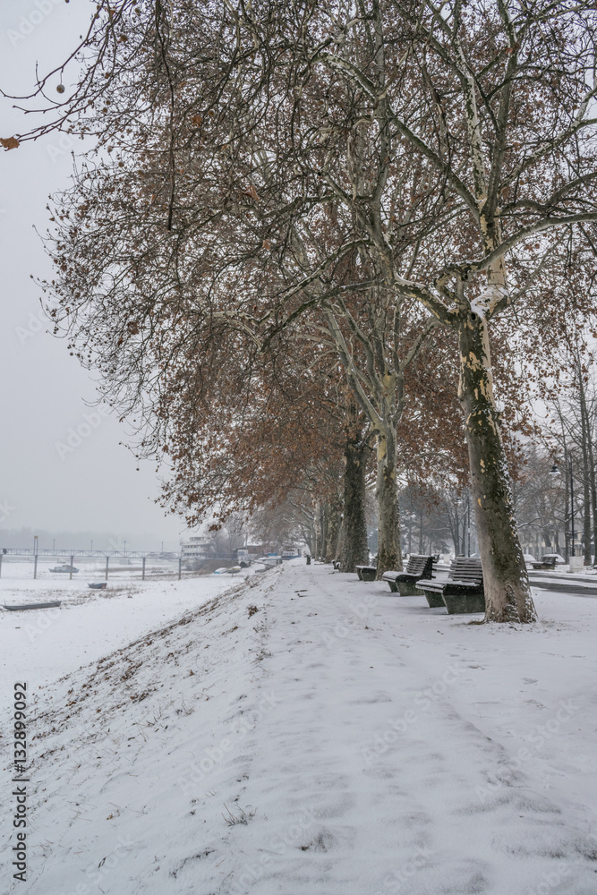 Frozen pathway in the park by the river on a snowing winter day Frozen pathway in the park by the river on a snowing winter day