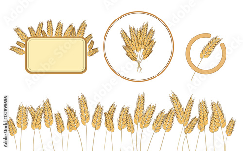 Bottom page wheat field, wheat frame and icon. design elements. Vector. Isolated illustration.