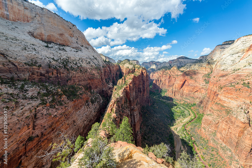 Zion National Park Wide Angle