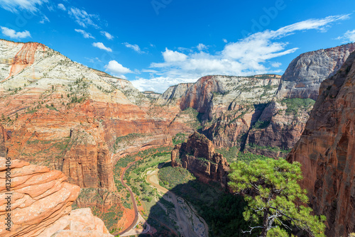 Zion National Park Landscape