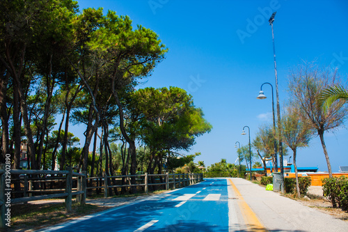 Bicycle track on the adriatic sea coast. Seashore of city Alba Adriatica in Italy, Pine trees on the side, summer sunny day.