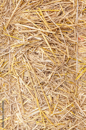 Close up straw texture, dried natural golden hay background.