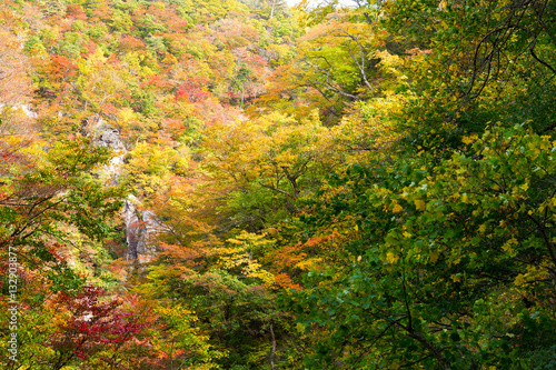 Naruko Gorge with colorful autumn foliage
