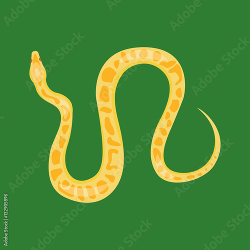 Snake reptile cartoon vector