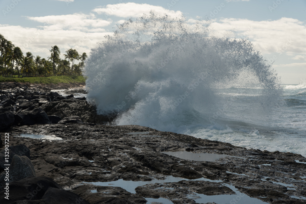 Breaking wave, Oahu