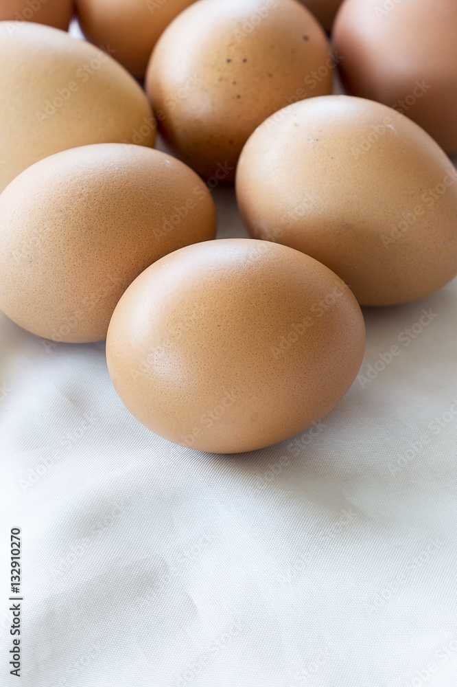 close-up egg box packaging with warm fall colors, soft-focus in the background. over light close-up egg box packaging with warm fall colors, soft-focus in the background. over light