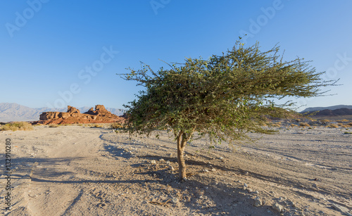 Geological nature park Timna is located 25 km north of Eilat (Israel); it com...