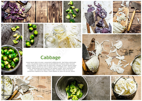 Food collage of fresh cabbage.