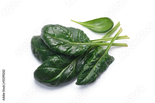 Spinach (Spinacia oleracea) leaves, top view, paths