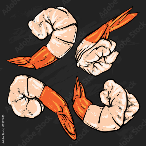 Shrimp drawing on a black background. seafood for a party or din