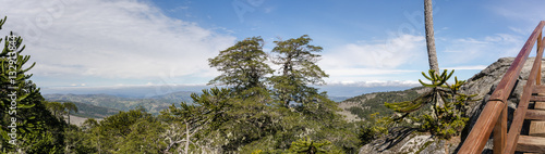 National Park Nahuelbuta, South of Chile.