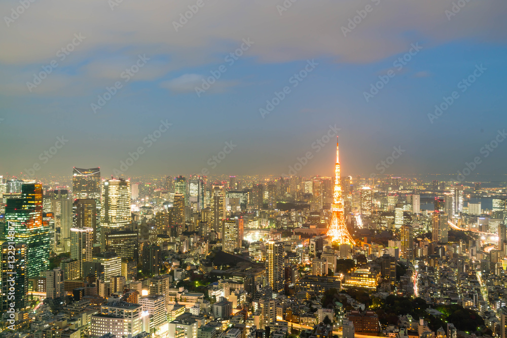 Tokyo city skyline with Tokyo Tower Tokyo city skyline with Tokyo Tower