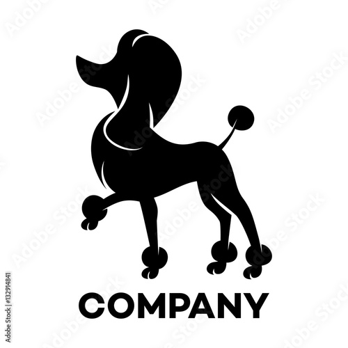 The black silhouette of the dog breed poodle logo