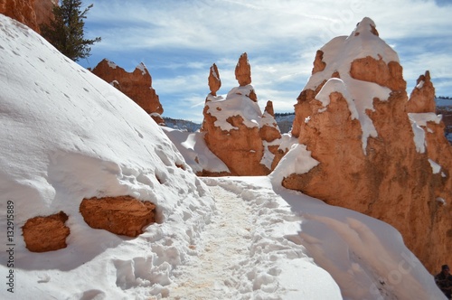 Snow-covered Trail Through Bryce Canyon Utah