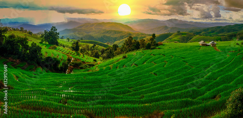 Beautiful sunset over the paddy fields in Pa Pong Pieng , Mae Ch