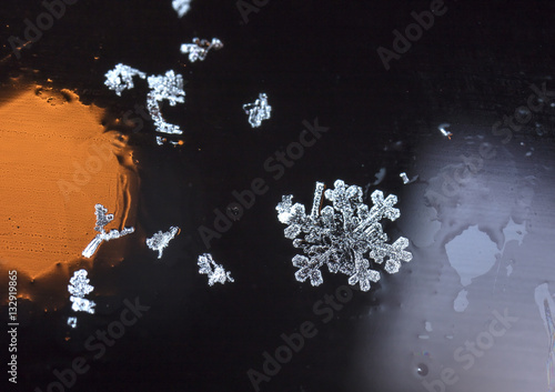 natural snowflakes , photo real snowflakes during a snowfall, under natural conditions at low temperature