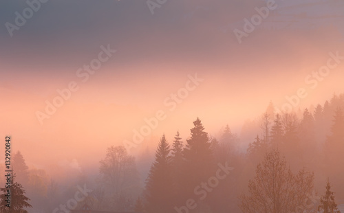 Morning fog over mountain hollow. Carpathian mountains. Ukraine.