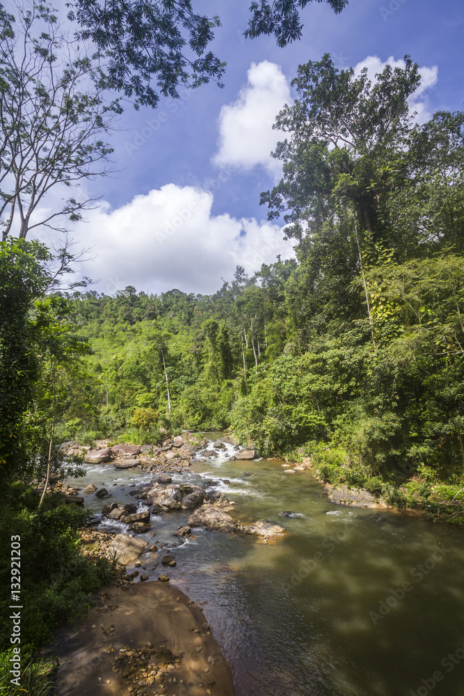 Sinharaja Forest Reserve, Sri Lanka