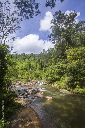 Sinharaja Forest Reserve  Sri Lanka