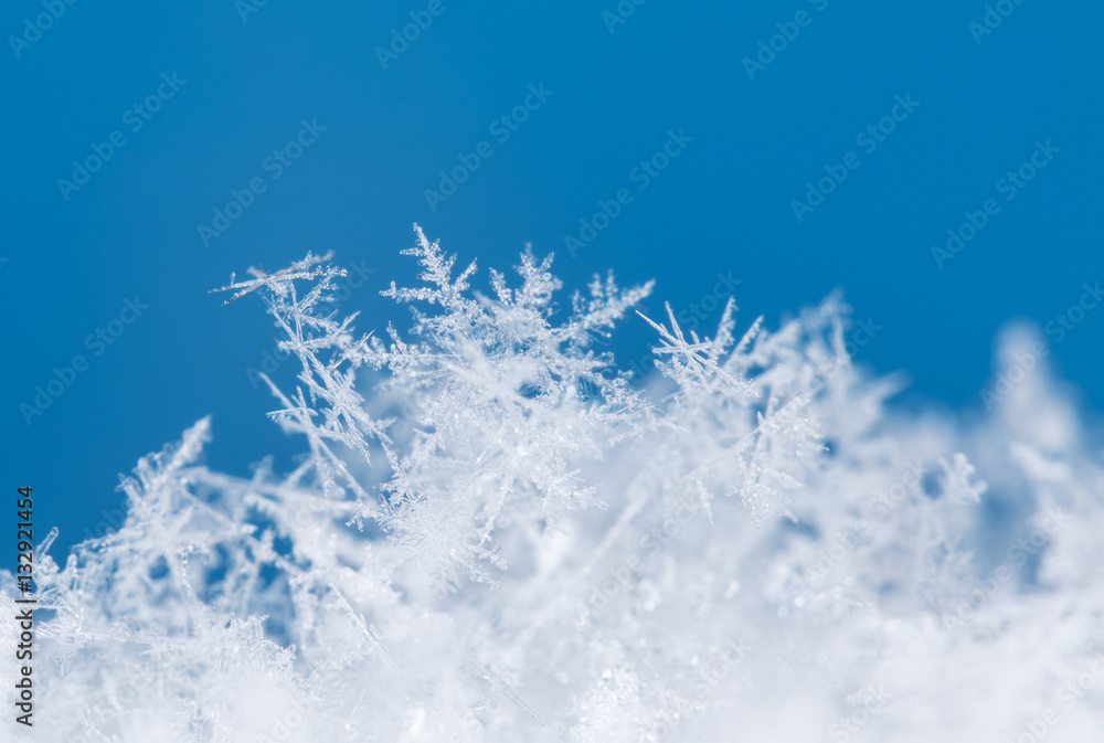 natural snowflakes on snow, photo real snowflakes during a snowfall, under natural conditions at low temperature natural snowflakes on snow, photo real snowflakes during a snowfall, under natural conditions at low temperature