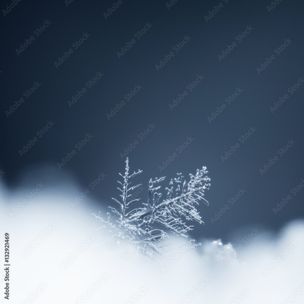 natural snowflakes on snow, photo real snowflakes during a snowfall, under natural conditions at low temperature natural snowflakes on snow, photo real snowflakes during a snowfall, under natural conditions at low temperature