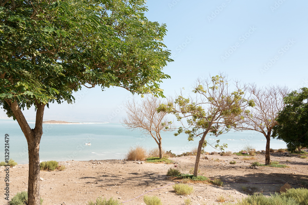 Fototapeta premium Dead sea coast, Israel.