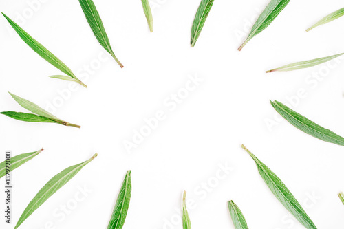 Fototapeta Naklejka Na Ścianę i Meble -  Green leaves frame on white background. Flat lay, top view