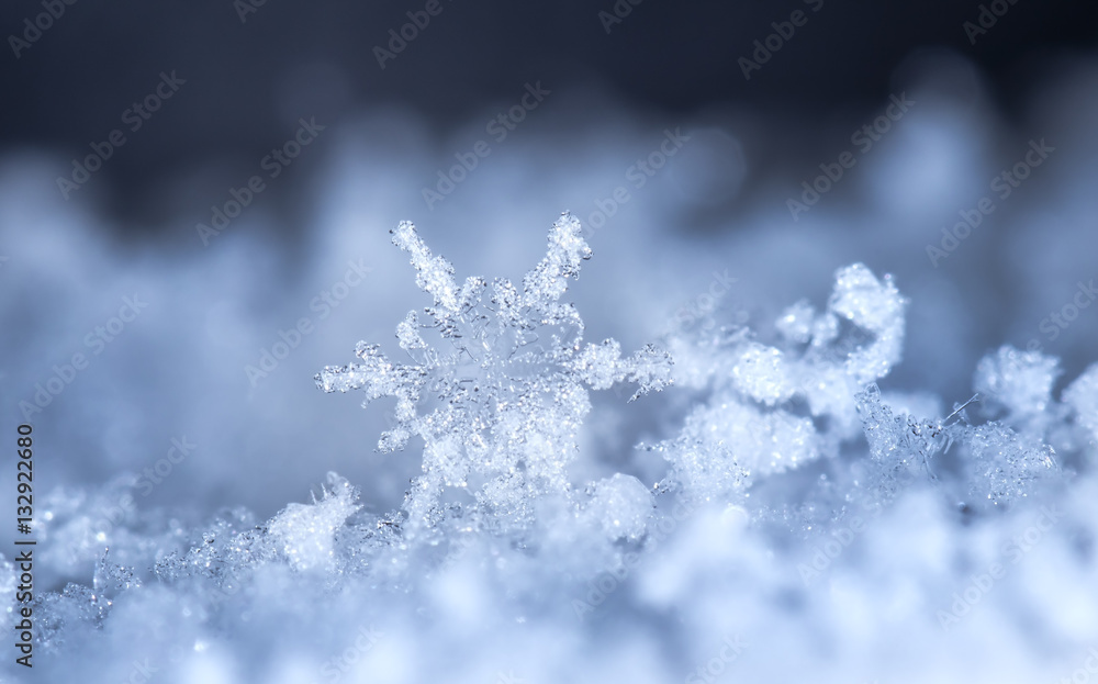 natural snowflakes, photo real snowflakes during a snowfall, under natural conditions at low temperature - obrazy, fototapety, plakaty 