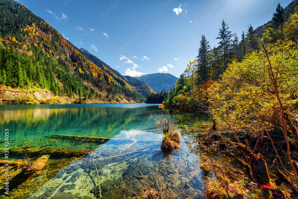 Scenic view of the Arrow Bamboo Lake among colorful fall woods