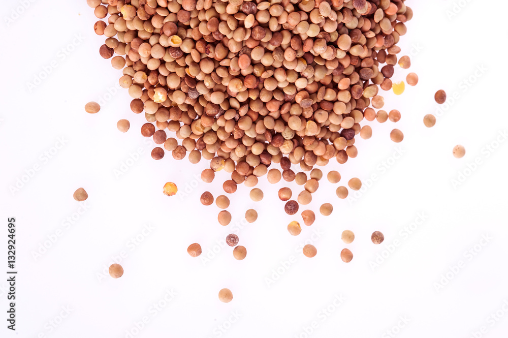 Lenticchie Lenticchie