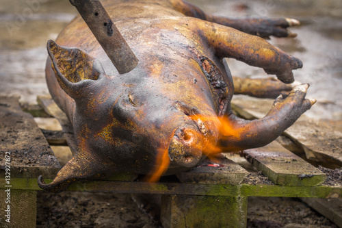 Traditional pig sacrifice custom in Romania. People washing the pig with strong jet of water during the traditional pig slaughter before Christmas.