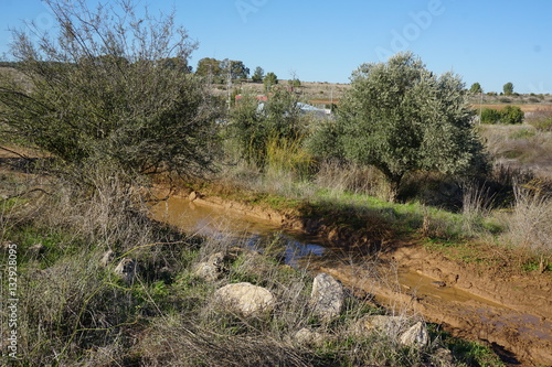 Nice Trail Road and walk in the Burma Road Near Jerusalem Israel