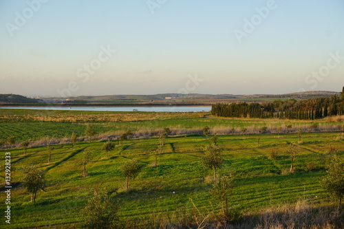 landscape of far Lake near Latrun Israel 