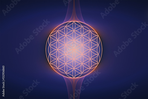 Flower of life with deep impact photo