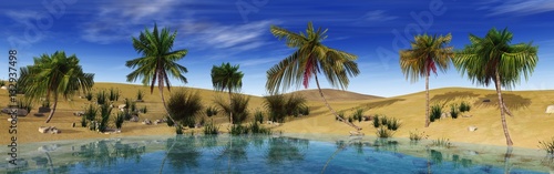 Oasis in the desert. Palm trees around the lake.   © ustas