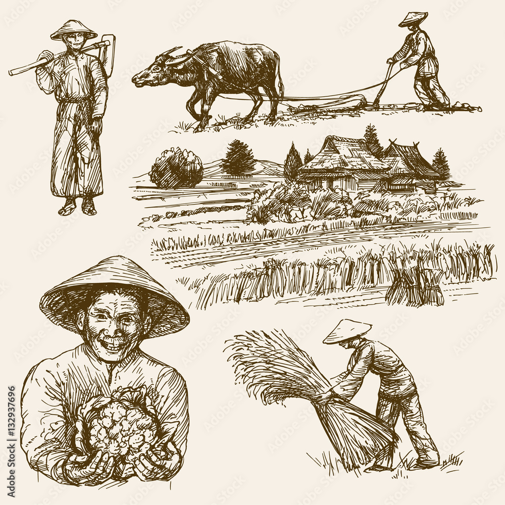 Pagsasaka Coloring Asian farmers working on Field. Hand drawn illustration. Rice ha Stock ...