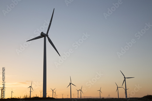 Wind Turbines at Dusk  Aragon