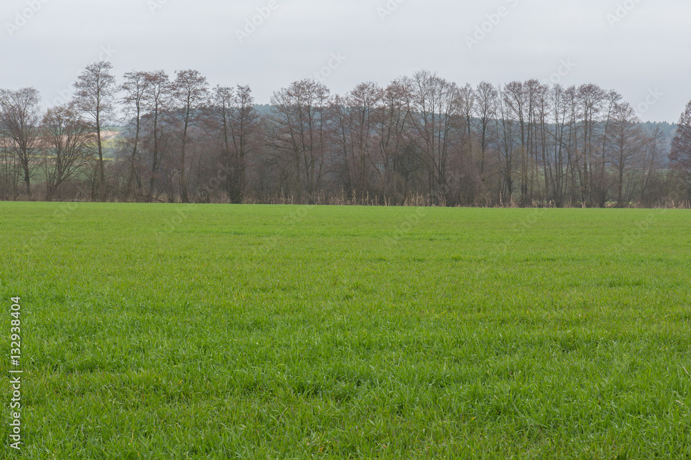 Obraz premium bavarian landscape in spring