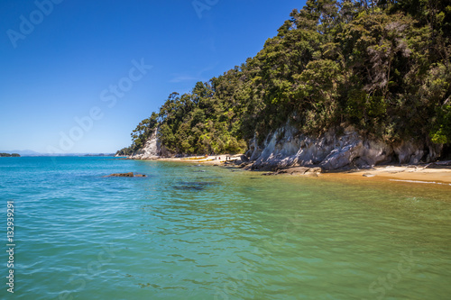 Beautiful landscape with blue turquoise ocean and clear sky in Abel Tasman National Park, New Zealand © aorlyan