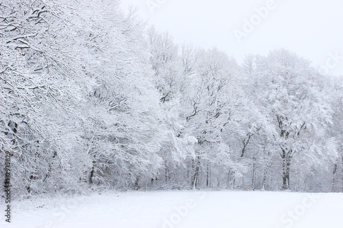 Winterlandschaft im Saarland, Frost, eiskalt, Kälte, Schnee, bizarr, gefroren