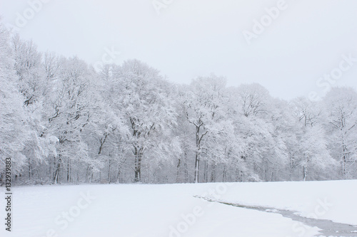 Winterlandschaft im Saarland mit Flüsschen, Frost, eiskalt, Kälte, Schnee, bizarr, gefroren