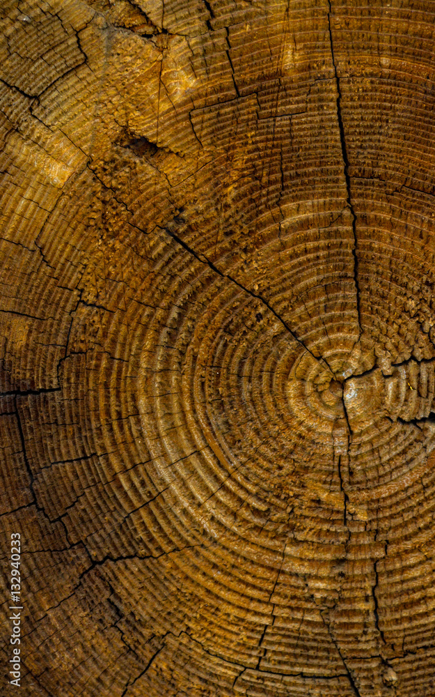 Naklejka premium wood