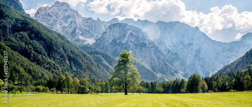 Mountain valley with green trees photo