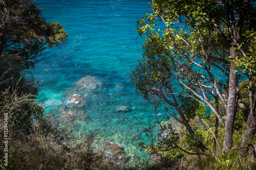 Clear blue waters of ocean and lush greenery in Abel Tasman National Park © aorlyan