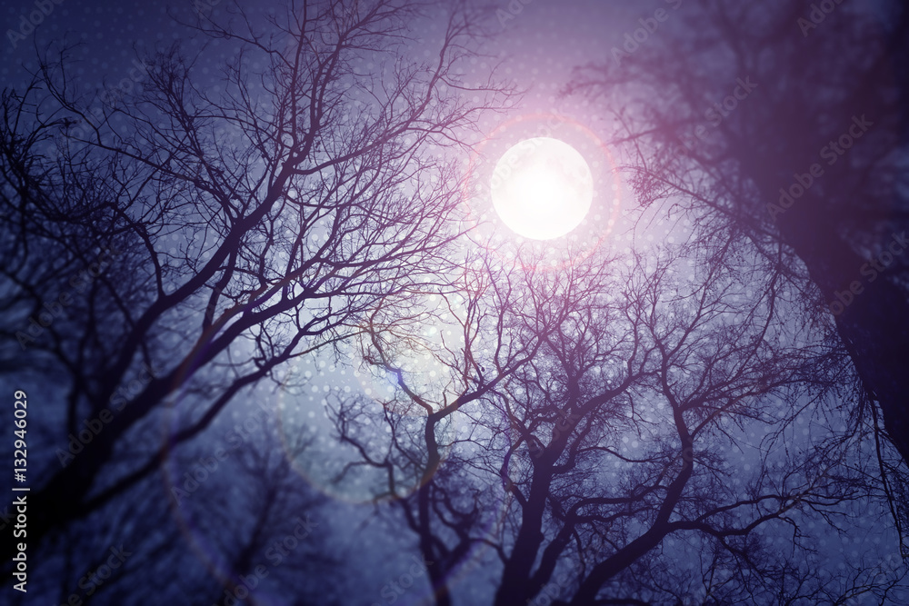 Dark enchanted photo of a full moon in the trees branches background. Blue and violet fairy-tale colors
