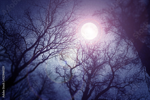 Dark enchanted photo of a full moon in the trees branches background. Blue and violet fairy-tale colors © PatriciaDz