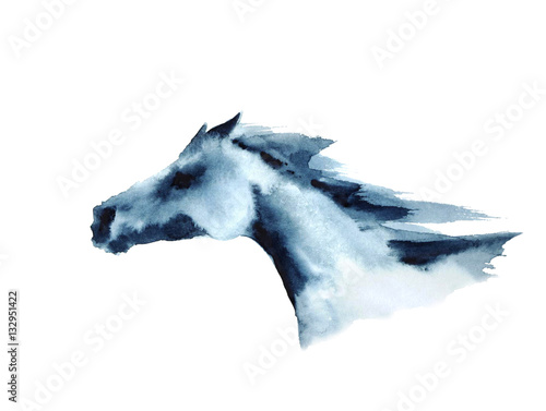 Watercolor head of galloping horse. Hand painted illustration.